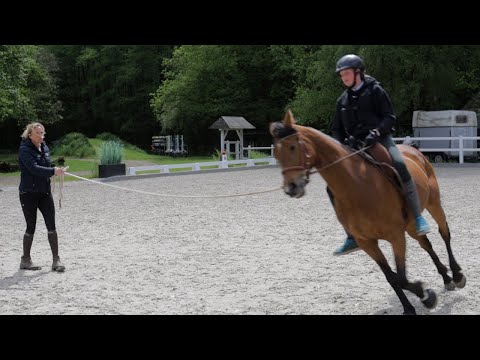 Extrem unrittige Stute - Besitzerin kurz vor der Verzweiflung