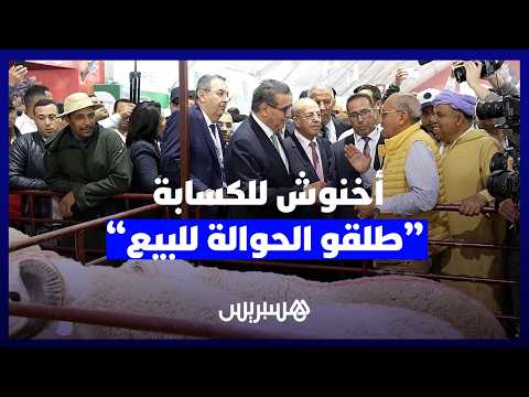 أخنوش للكسابة: “طلقو الحوالة للبيع” 