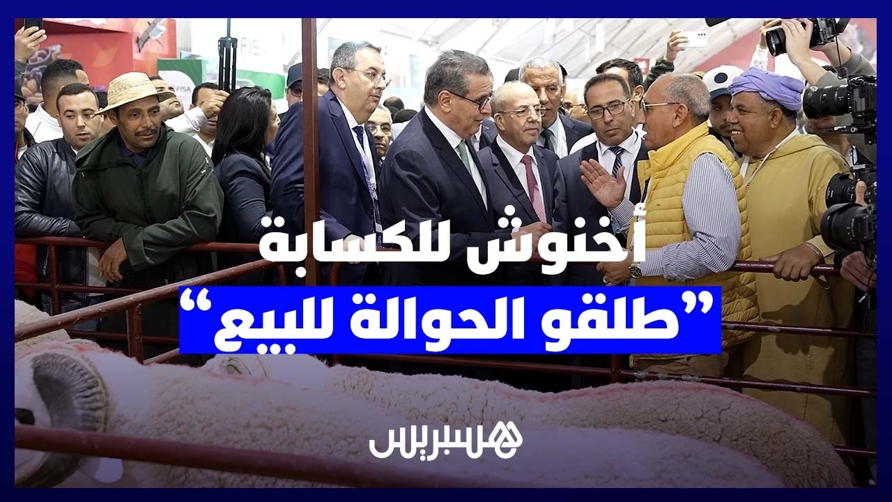 أخنوش يخاطب الكسابة في “سيام”: طلقو الحوالة للبيع thumbnail