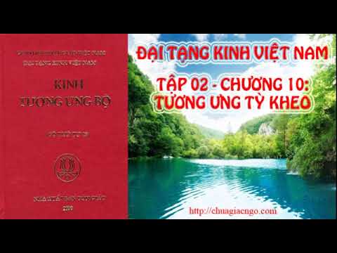 Kinh Tương Ưng Bộ - Tập 2: Chương 10: Tương Ưng Tỷ Kheo