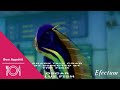 Shark Tale Crab Cilp 1O Speed Up 1O