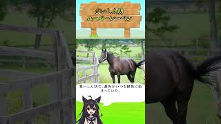 食いしん坊のユーバーレーバン#ユーバーレーベン #競馬 #食いしん坊馬 #名馬の可愛い瞬間 #おかわり要求 #優しい名馬 #見学者大好き #競馬ファン必見 #鼻先緑色 #可愛い名馬