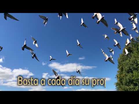 Adrian Juniors - Recibe Vida