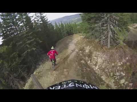 Riding the Rollercoaster