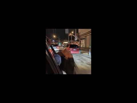 zdechły osa - patolove (slowed down + reverb)