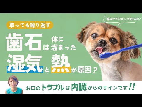 自然療法について詳しく解説