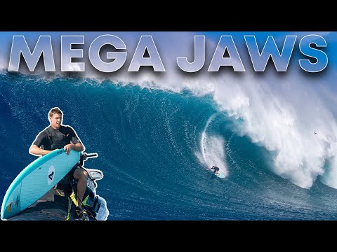 BREAKING DOWN THE BIGGEST JAWS PADDLE SWELL OF THE WINTER