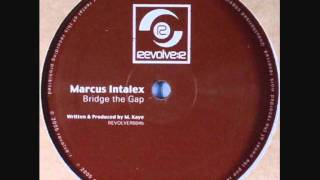 Marcus Intalex - Bridge The Gap