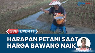Harga Bawang Merah Melonjak Capai Rp 40 Ribu Per Kg di Blora, Petani Ungkap Banyak Kendala