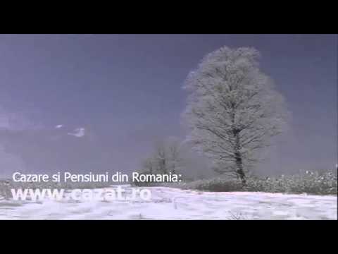 Cazare Viisoara, Dolj - Cazat.ro