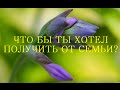 Что бы ты хотел получить от семьи? 