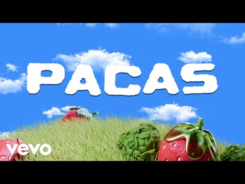 Kevin AMF, Fend - Pacas (Lyric Video)