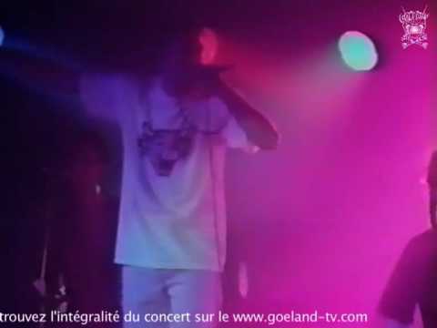 Raymonde et les Blancs Becs en concert