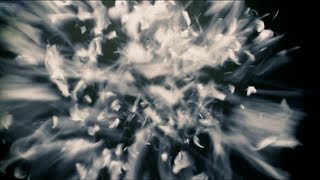 THE BACK HORN｢閉ざされた世界｣MUSIC VIDEO