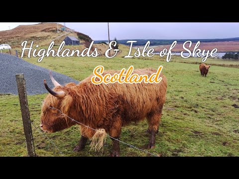 Highlands and Isle of Skye I Scotland I Walking Tour I 4K