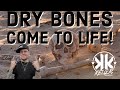 Dry Bones Come To Life! - Kelly K