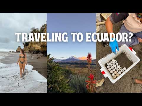 The Ultimate Ecuador Travel Guide | Safety, Public Transport, Money & What to Know