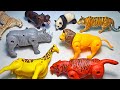 12 Transforming Animals Lion Tiger Elephant Jaguar Elephant Rhino Bear Zebra Giraffe