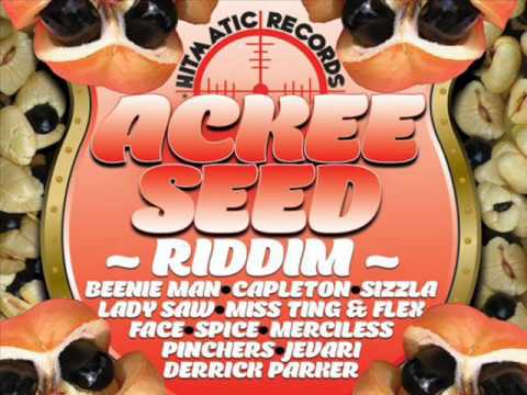 (2011) Ackee Seed Riddim - Various Artists - DJ_JaMzZ
