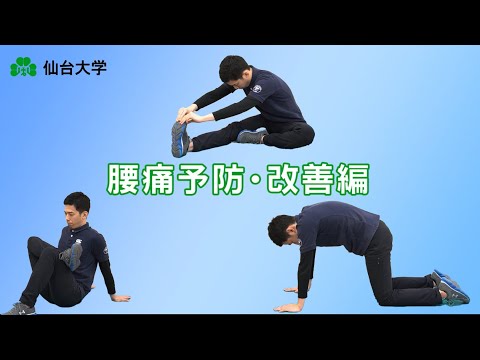 体育学科 ＜腰痛予防・改善編＞自宅でできる運動・ストレッチ／仙台大学 健康づくり支援班  健康づくり運動