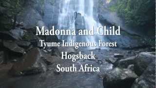 preview picture of video 'Madonna and Child Waterfall - Hogsback'