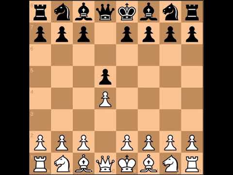 Harry Nelson Pillsbury vs Emanuel Lasker "Pillsbury d'oh!" St. Petersburg (1895/96) · 0-1
