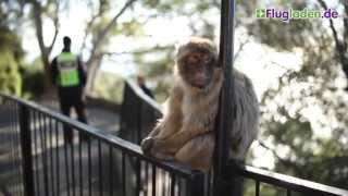 Gibraltar Reisevideo by Flugladen.de