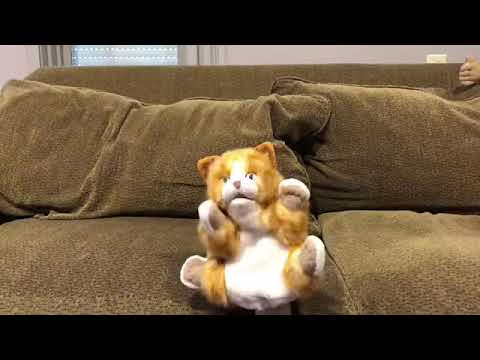 Dumbstuff Presents: The Password