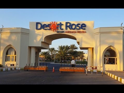 Desert Rose Resort 5*, Хургада. Плюсы и минусы подробно.