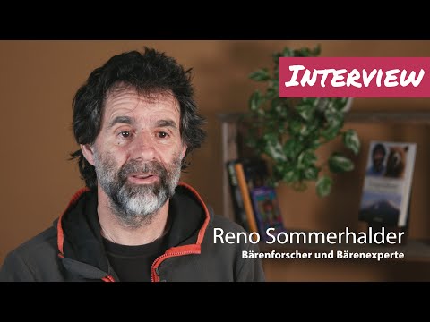 "Bären sind ein Top-Indikator für intakte Natur“ - Interview mit Reno Sommerhalder