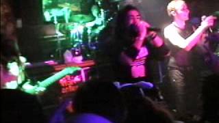 Darwin's Waiting Room - Transparent