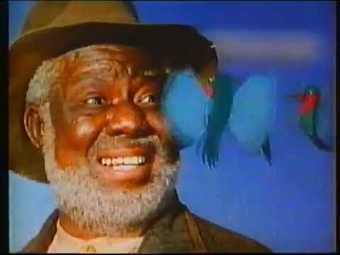 Disney's Sing-Along Songs: Zip-A-Dee-Doo-Dah