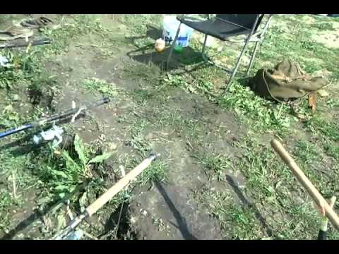 Captura Caras Posta Elan