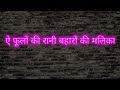 Ae Phoolon Ki Rani Baharon Ki Mallika Aarzoo 1965 Mohd Rafi Rajendra Kumar Sadhana