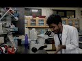 Sundaran Ey Coli Official Music Video