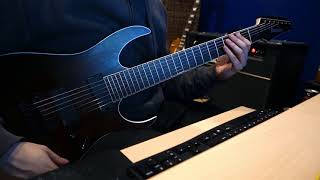 Fear Factory - New Breed Guitar Cover