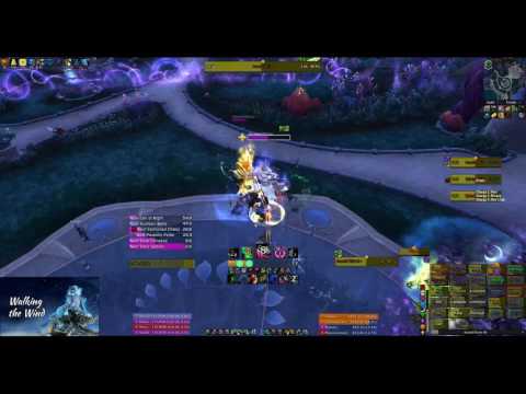 Heroic High Botanist Tel'arn - WW PoV