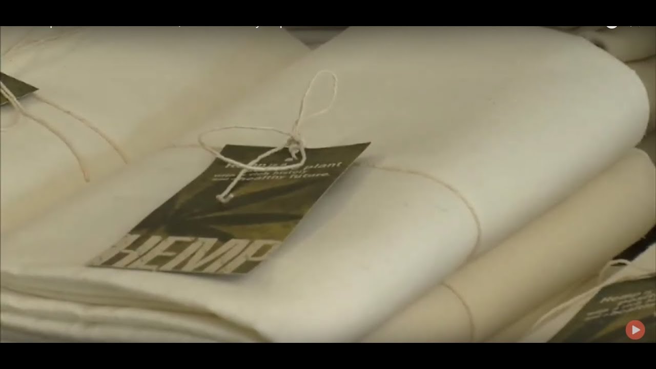 Is Hemp Better Than Cotton | Documentary Clip