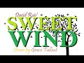 Sweet Wind by David Ruis | Grace Fallout Classic Cover | lyric video FF6