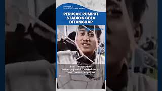 Perusak Rumput Stadion GBLA seusai Laga Persib VS Persis Ditangkap, Pelaku Lain Masih Diburu