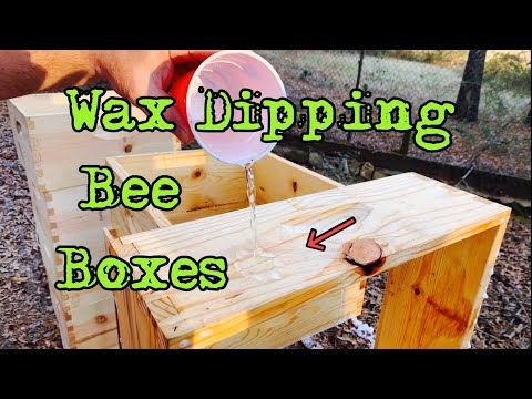 Wax Dipping Bee Boxes | Cool!