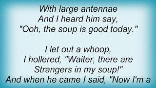 Allan Sherman - Strange Things In My Soup Lyrics