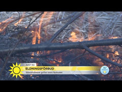 Respektera eldningsförbudet: "Ät kallskuret så länge det ser ut som det gör" - Nyhetsmorgon (TV4)