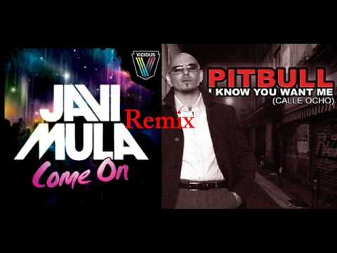 Javi mula ft pitbull