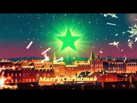 Shine on, shine on, Christmas star🌟