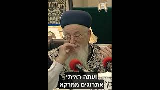 האתרוג שקיבלתי מתנה מהבבא סאלי - מרן הרב מרדכי אליהו  #live#duet  #בבא סאלי (הרב מרדכי אליהו זצ"ל) - התמונה מוצגת ישירות מתוך אתר האינטרנט יוטיוב. זכויות היוצרים בתמונה שייכות ליוצרה. קישור קרדיט למקור התוכן נמצא בתוך דף הסרטון