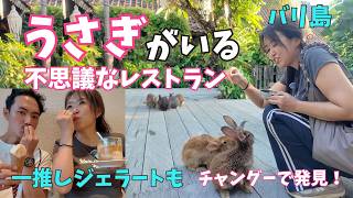 【バリ島チャングー最新】うさぎと遊べる不思議なレストラン&絶品アフォガートジェラートが最高すぎた【479】