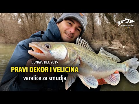 Varalicarenje smudja - Zimski porast vode, dekor i velicina varalice / Winter spinning for zander