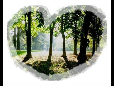 abdel majed abdullah - amoot fi 7obak