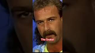 Jake the Snake! 🐍 #wwe #jakethesnake #metal #pantera